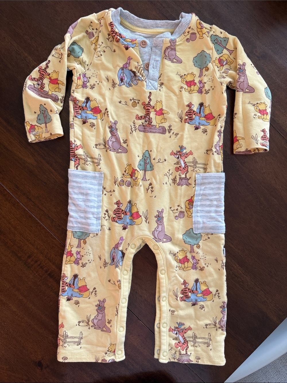 Little Sleepies Playtime with Pooh Henley Romper